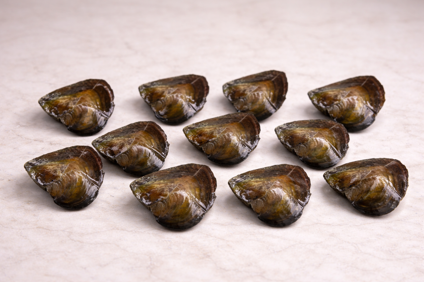 Oyster Pearl Love Necklace DIY Kit – Open Your Own Pearl Gift Set For Her - Valentine Gift