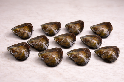 Oyster Pearl Love Necklace DIY Kit – Open Your Own Pearl Gift Set For Her - Valentine Gift